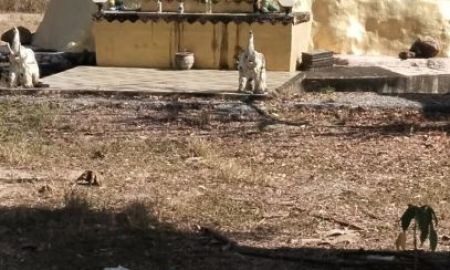 ขายที่ดิน - ขายที่ดินพร้อมสวนยาง ติดทางหลวง บ้านแพะ ชาติตระการ