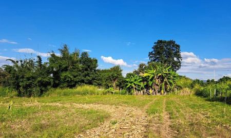 ขายที่ดิน - ขายที่ดินติดวิวดอยหลวงเชียงดาวห่างถนนหลัก 50เมตร