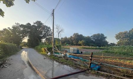 ขายที่ดิน - ขายที่ดินที่สวนตำบลแม่โป่งดอยสะเก็ตติดถนนโฉนด