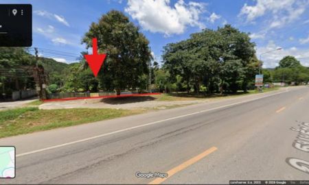 ขายที่ดิน - บ้านพร้อมที่ดิน ติดถนนธนะรัตน์(ทางขึ้นเขาใหญ่) อำเภอปากช่อง จังหวัดนครราชสีมา