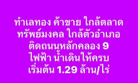 ขายที่ดิน - ติดถนนหลักเลียบคลอง 9 หนองเสือ ปทุมธานี ใกล้ตลาดทรัพย์มงคลถนนหลัก คลองหลวง หนองเสือเพียง 2.5 กม. ถมแล้ว แปลงที่ 1 ราคาเริ่มต้น 1.29-1.79ล้าน/ไร