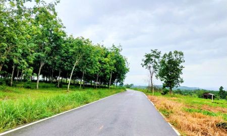 ขายที่ดิน - ที่ดินพร้อมสวนยางพารา ติดถนนลาดยาง อ.เวียงสา น่าน