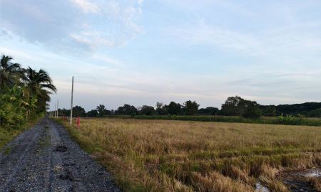 ขายที่ดิน - ขายที่ดินราคาถูก แนวบ้านสวน ราคาแบ่งปัน #ที่ดินแบ่งขาย #ราคาเจ้าของขายเอง เหมาะทำบ้านสวน รีสอร์ท จุดเช็คอิน โฉนดครุฑแดง