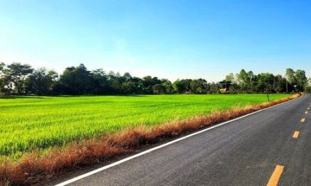 ขายที่ดิน - ขายที่ดินองครักษ์ราคาเจ้าของขายเอง ใกล้มหาลัย คลอง 16 ทำเลดี เหมาะค้าขาย เหมาะทำอพาร์ทเม้นท์ อยู่ใกล้มศว