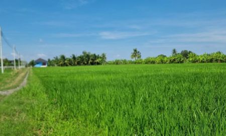 ขายที่ดิน - ขายที่ดินลาดกระบัง 1 ไร่ (2 แปลง) ทับยาว ใกล้ขนส่งพื้นที่ 4 และมอเตอร์เวย์ แปลงมุมติดคลอง ทำเลทองใกล้สุวรรณภูมิ