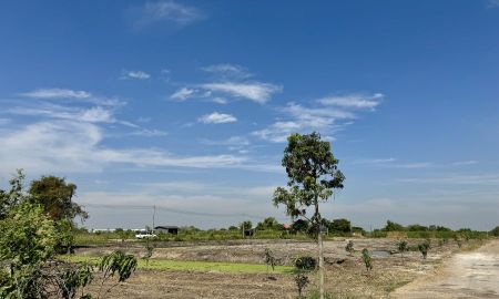 ขายที่ดิน - ขายที่ดิน 5 ไร่ ลำลูกกา คลอง 12 ทำเลดี ติดแหล่งชุมชน