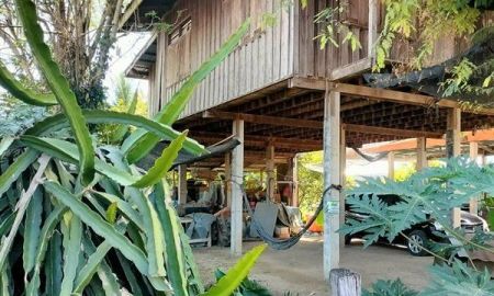 ขายบ้าน - ขายด่วน! (บ้าน 2 ชั้น/ใต้ถุนโล่ง) พร้อมที่ดิน ติดถนนดำ อำเภอลาดยาว นครสวรรค์