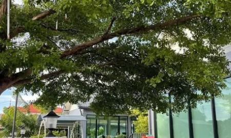 ให้เช่าอพาร์ทเม้นท์ / โรงแรม - ให้เช่าพื้นที่พร้อมอาคาร พื้นที่ประมาณ 1 ไร่ สามรารถทำเป็นร้านอาหารได้เลยถนนเเพรกษา