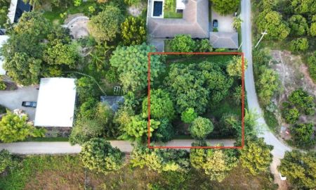 ขายที่ดิน - ขายที่ดิน สวย ต้นไม้ใหญ่ร่มรื่น ล้อมรั้วสวยงาม ติดถนนสองด้าน