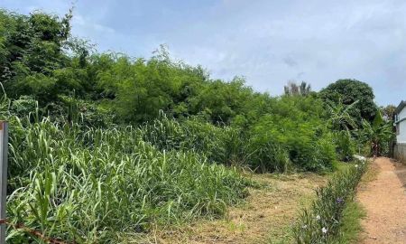 ขายที่ดิน - ขายที่ดินเปล่า ที่ดินอยู่ฝั่งตรงข้ามประตูใหญ่ กร. มองเห็นวิวทะเล 96 ตารางวา