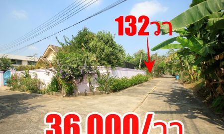 ขายที่ดิน - ที่ดินซอยอัศวพิเชษฐ์12,14,16,18 สวนผัก43 บรมราชชนนี62 ที่ดิน132ตารางวา เหมาะสร้างบ้าน เดินทางสะดวก ตรงข้ามสายใต้ใหม่ ใกล้ถนนราชพฤกษ์