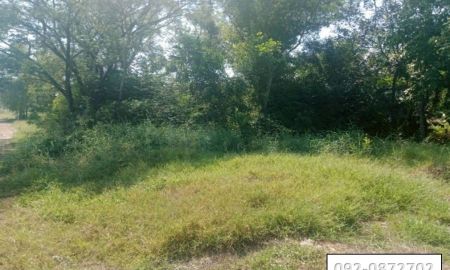 ขายที่ดิน - ขายที่ดินใกล้ มศว.องครักษ์ อยู่ในแหล่งชุมชน อยู่ถนนด้านหลัง มศว.