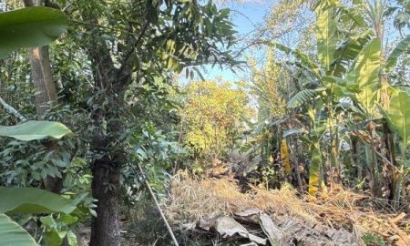 ขายที่ดิน - ขายที่ดิน 102.50 ตรว.หน้ากว้าง 15 เมตร ลึก 25 เมตร อ.เมือง จ.นนทบุรี บางรักน้อย 18