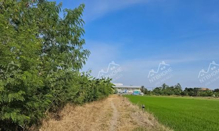 ขายที่ดิน - ที่ดินถมแล้ว แถวคลองตาคล้าย ไทรน้อย 200 ตร.ว. ใกล้โรงพยาบาลไทรน้อย