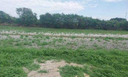 ขายที่ดิน - ขายด่วน! ลดกระหน่ำ ถูกสุดๆ ขายที่ดินราคาพิเศษ อ.บางเสาธง จ.สมุทรปราการ สวย ทำเลดี