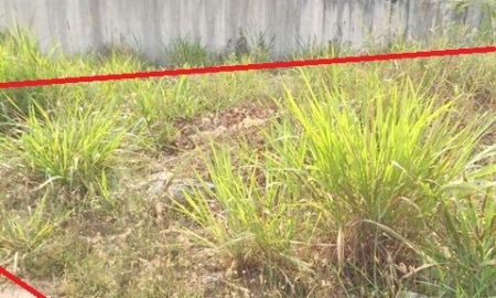 ให้เช่าที่ดิน - ม.รังสิต 800 ม. หลักหก MRT คลองรังสิต 1 กม. ให้เช่าที่ดิน 100 ตร.วา. ทำเลศักยภาพ ขาย 3.99 ลบ.เหมาะพัฒนาหอพัก อพาร์ทเมนท์