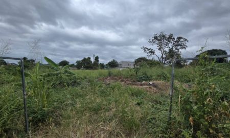 ขายที่ดิน - ขายที่ดินศรีราชา ชลบุรี ผังสีส้ม ใจกลางชุมชน เจ้าของขายเอง เหมาะพัฒนาโครงการทาวน์โฮม-คอนโด Low-rise