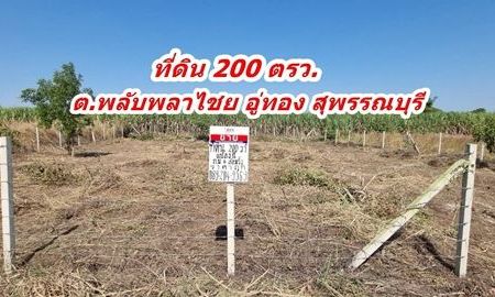 ขายที่ดิน - ขายที่ดิน 200 ตรว. ถมและล้อมรั้ว ราคาถูก ต.พลับพลาไชย อ.อู่ทอง จ.สุพรรณบุรี