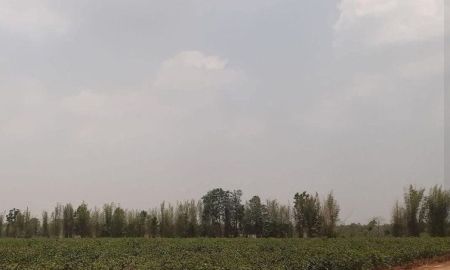 ขายที่ดิน - ขายที่ดินกรอกสมบูรณ์ 19 ไร่ ใกล้ถนนสี่เลนสระแก้ว-เขาหินซ้อน359-250เมตร อ.ศรีมหาโพธิ ปราจีนบุรี