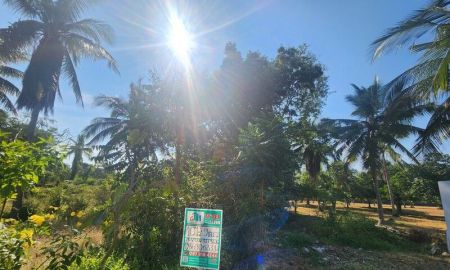 ขายที่ดิน - ขายที่ดินสวยมะพร้าวสามร้อยยอด ประจวบคีรีขันธ์