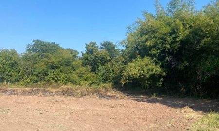 ขายที่ดิน - ขายที่ดินในเขตเทศบาล โฉนด 1 ไร่ต.ใหม่ อ.โนนสูง จ.นครราชสีมา