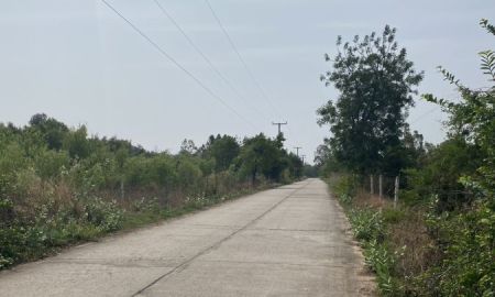 ขายที่ดิน - ขายที่ดินเปล่า 1งาน 48 ตร.วา หลังรพ.โนนแดง บ้านหนองมน ต.โนนแดง อ.โนนแดง จ.นครราชสีมา