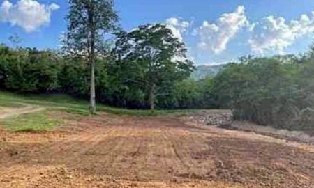 ขายที่ดิน - ขายที่ดินเขาใหญ่ 7 ไร่ อำเภอปากช่อง จังหวัดนครราชสีมา