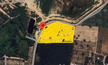 ขายที่ดิน - ที่ดินสวย ติดถนน ทำเลทอง!! วิวสวย 8-0-36 ไร่ บ่อวิน-หนองก้างปลา อ.ศรีราชา ชลบุรี ใกล้โรบินสัน นิคมหลายแห่ง