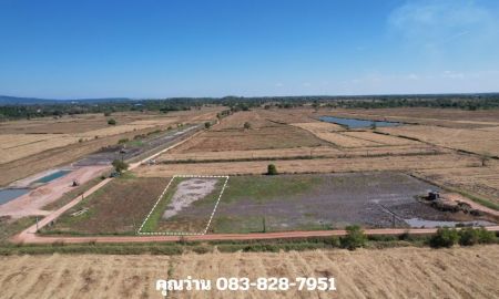 ขายที่ดิน - ที่ดิน 1 ไร่ โฉนดครุฑแดง อ.ปากพลี มีถนนสาธารณะ ขายพร้อมโอน 420,000 บาท