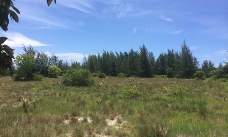 ขายที่ดิน - ขายที่ดิน ทำเลสวย บนเกาะพระทอง เนื้อที่ 39-2-30 ไร่ เหมาะทำบ้านพัก ร้านอาหาร รีสอร์ท ฯลฯ