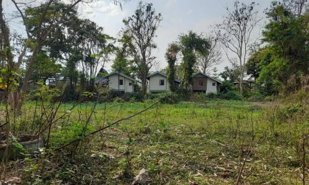 ขายที่ดิน - ขายที่ดินเปล่า (เจ้าของขายเอง) อ.ปาย จ.แม่ฮ่องสอน เนื้อที่ 4-3-91 ไร่