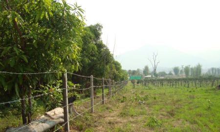 ขายที่ดิน - ขายที่ดินเปล่า (เจ้าของขายเอง) อ.ปาย จ.แม่ฮ่องสอน เนื้อที่ 11 ไร่