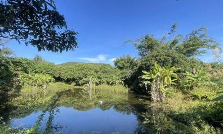 ขายที่ดิน - ขายที่ดินเหมาะทำการเกษตร หรือบ้านสวน แม่ทาลำพูนขายถูกๆ 6 ไร่เศษ