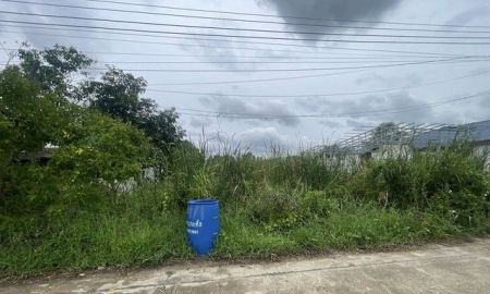 ขายที่ดิน - ขายที่ดินทำเลดีติดถนนสาธารณะ 100 ตารางวา เหมาะสร้างบ้านขาย