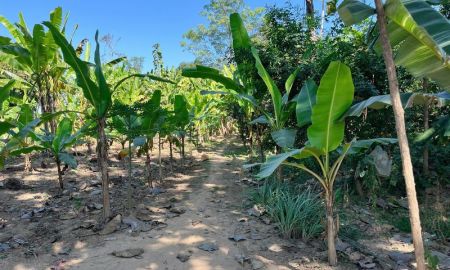 ขายที่ดิน - ที่ดินเปล่า 1 ไร่ ติดคลอง แปลงสี่เหลี่ยมสวย ตำบลในเมือง อำเภอสวรรคโลก จังหวัดสุโขทัย