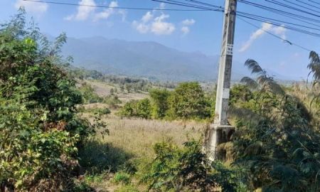 ขายที่ดิน - ขายที่ดินเปล่า (เจ้าของขายเอง) อ.ปาย จ.แม่ฮ่องสอน เนื้อที่ 3-3-30 ไร่