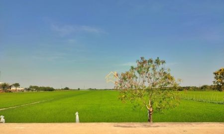 ขายที่ดิน - ขาย ที่ดิน 22 ไร่ 3 งาน 92.8 ตารางวา อ.ไทรน้อย จ.นนทบุรี ราคาถูกกว่าตลาดมาก