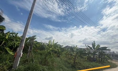 ขายที่ดิน - ขายที่ดินหนองปรือ พัทยา 180 ตรว. ถมแล้วซอยชัยพรวิธี14 มาบสอง-ค่ายมวยใกล้ถ.เลียบมอเตอร์เวย์7-400เมตร อ.บางละมุง