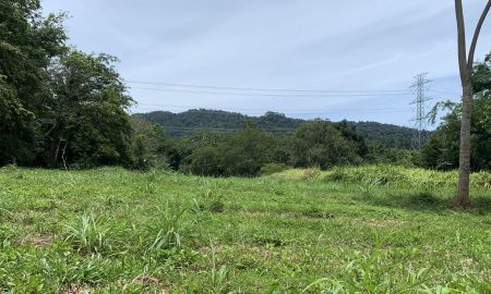 ขายที่ดิน - ขายที่ดินเปล่า ทำเลดี อำเภอถลาง จังหวัดภูเก็ต