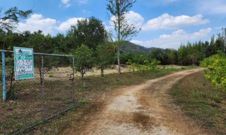 ขายที่ดิน - ขายที่ดินแก่งกระจานพร้อมสิ่งปลูกสร้าง เนื้อที่ 12 ไร่ 2 งาน 49 ตารางวา