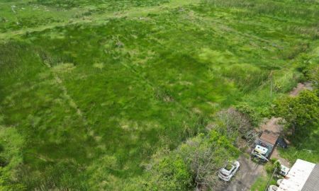 ขายที่ดิน - ขายที่ดิน รังสิตคลอง 13 ติดถนน ไร่ละไม่ถึงล้าน