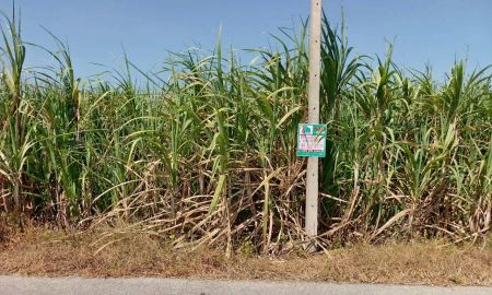 ขายที่ดิน - ขาย ที่ดินแปลงใหญ่ ติดถนนลาดยาง ต.วังขนาย อ.ท่าม่วง จ.กาญจนบุรี