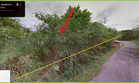 ขายที่ดิน - ที่ดินทำเลดี 288 ตรว. ราคาถูก ต่ำกว่าตลาด ใกล้เมกะบางนา ซอยมหาชัย บางพลี เหมาะสร้างที่อยู่อาศัย สนง. โกดังสินค้า