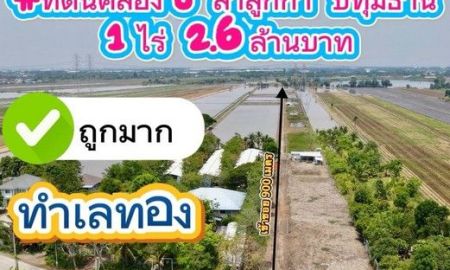 ขายที่ดิน - ที่ดินทำเลทอง ที่ดินคลอง8 ลำลูกกา ปทุมธานี 1 ไร่ 2.6 ล้านบาท เหลือ 1 แปลงเท่านั้น