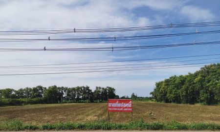 ขายที่ดิน - ขายที่ดินผืนสวย ทำเลดี ใกล้แหล่งชุมชนสาธารณูปโภค บนถนนสายหลัก ศรีนคร สวรรคโลก
