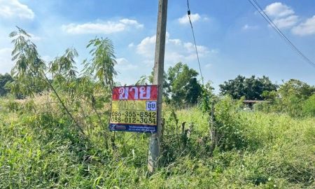 ขายที่ดิน - ขายที่ดิน 200 ตารางวา ติดถนนเทศบาลตำบลหมอนนาง พนัสนิคม ชลบุรี ZT861