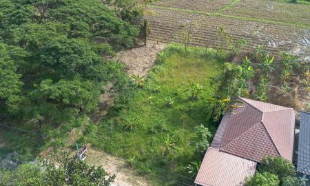 ขายที่ดิน - ที่ดินถมแล้ว พร้อมสร้าง วิวทุ่งนา บรรยากาศสงบ โซนหางดง ใกล้สนามบิน เดินทางสะดวก