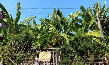 ขายที่ดิน - ขายที่ดินเปล่า ซอยร่วมสุข2 ซอย3 ถนนพระองค์เจ้าสาย