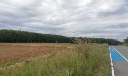 ให้เช่าที่ดิน - ให้เช่า ที่ดิน แปลงสวย อ่างเก็บน้ำดอกกราย แม่น้ำคู้ ปลวกแดง ระยอง เพาะพันธุ์ต้นยาง