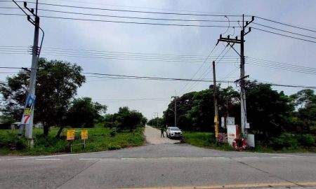 ขายที่ดิน - V ายถูกที่ดินใกล้วัดโพธิ์นิ่ม 225 ตารางวา(แบ่งได้) ถมแล้วทั้งแปลง ติดถนนคอนกรีต อ.สามโคก จ.ปทุมธานี